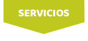 Servicios